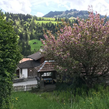 Hébergement de vacances 200 Year Old Swiss House