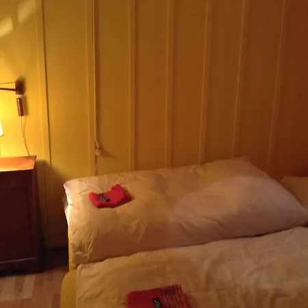 200 Year Old Swiss House